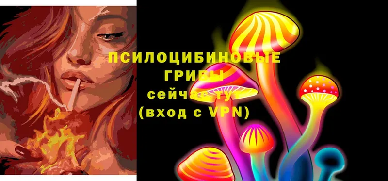 Галлюциногенные грибы Cubensis  Лагань 